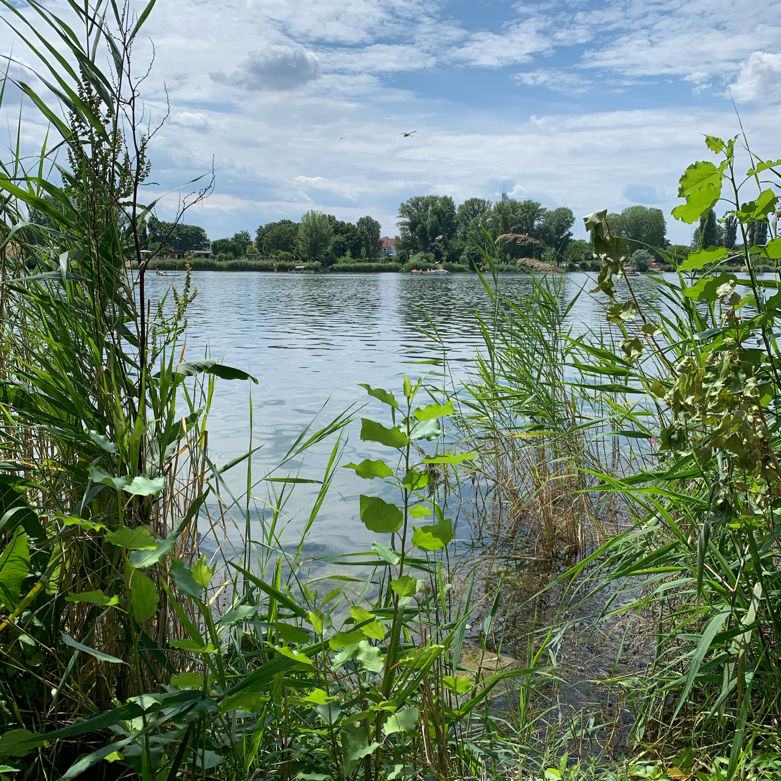 Alte Donau Wien